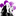 Web App