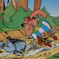 User profile picture